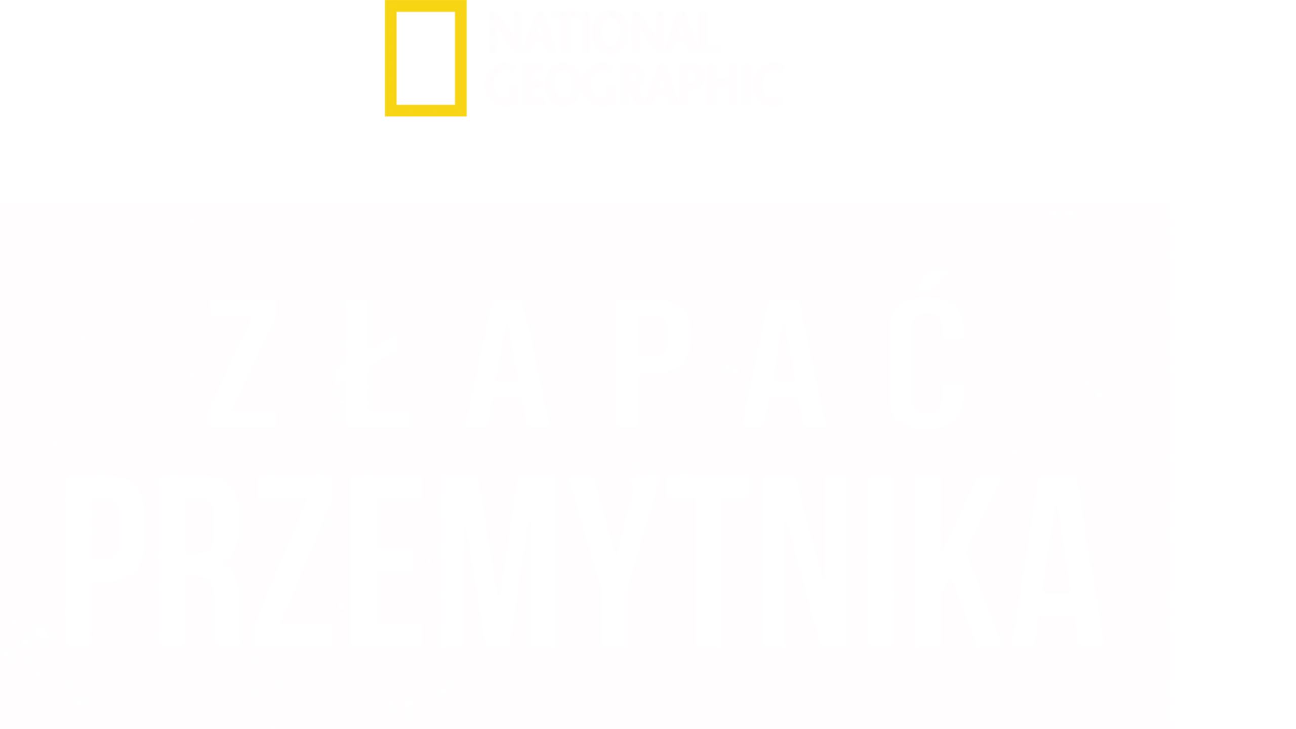 Złapać przemytnika