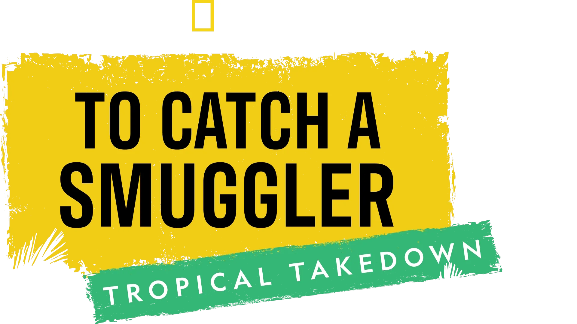 To Catch a Smuggler: Tropical Takedown