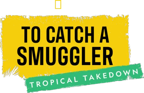 To Catch a Smuggler: Tropical Takedown