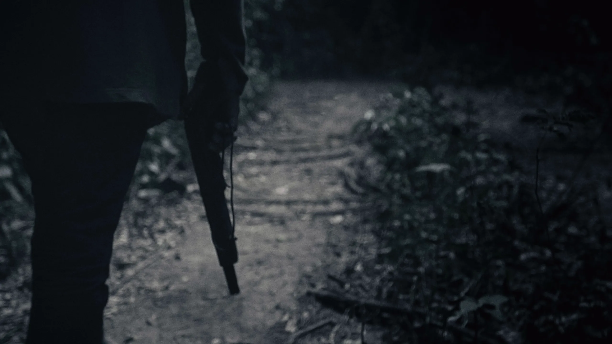 Guardians of the Amazon