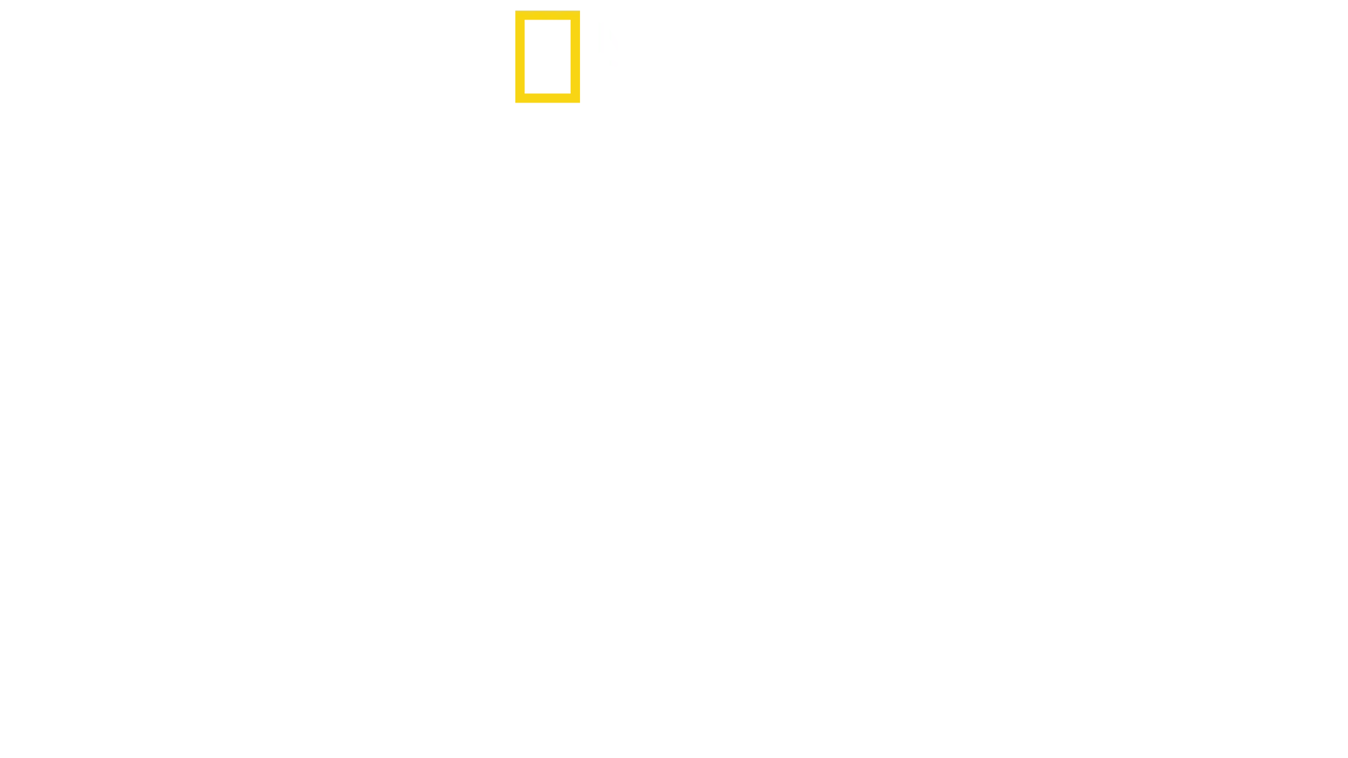 Nord-Korea fra innsiden: Da og nå
