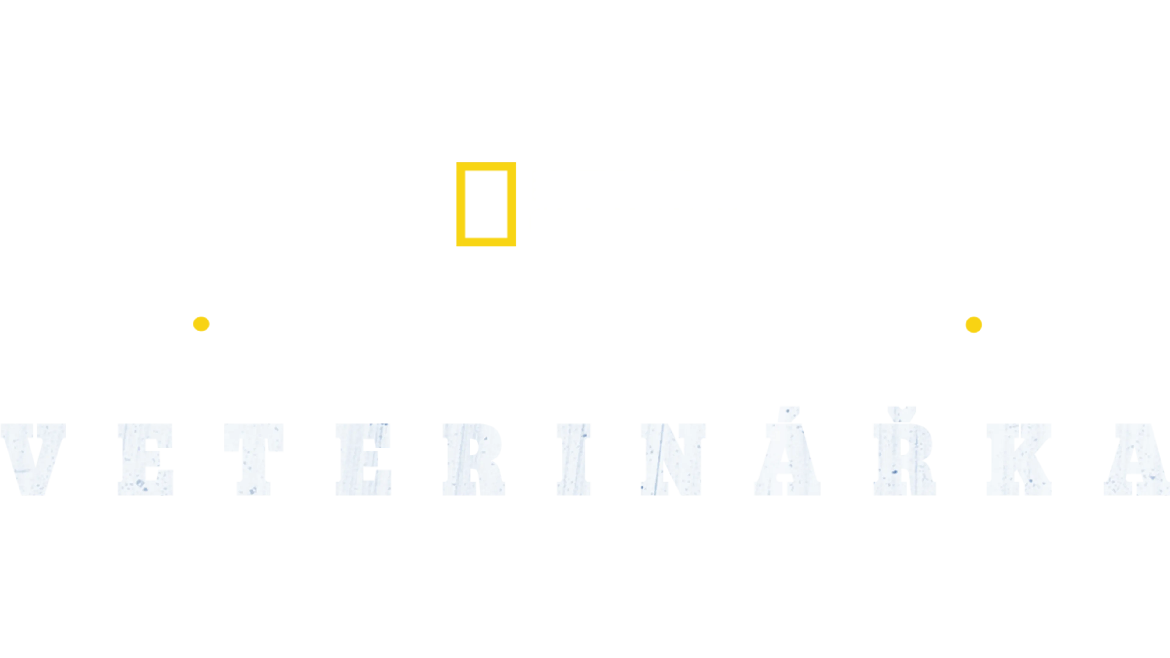 Yukonská veterinářka