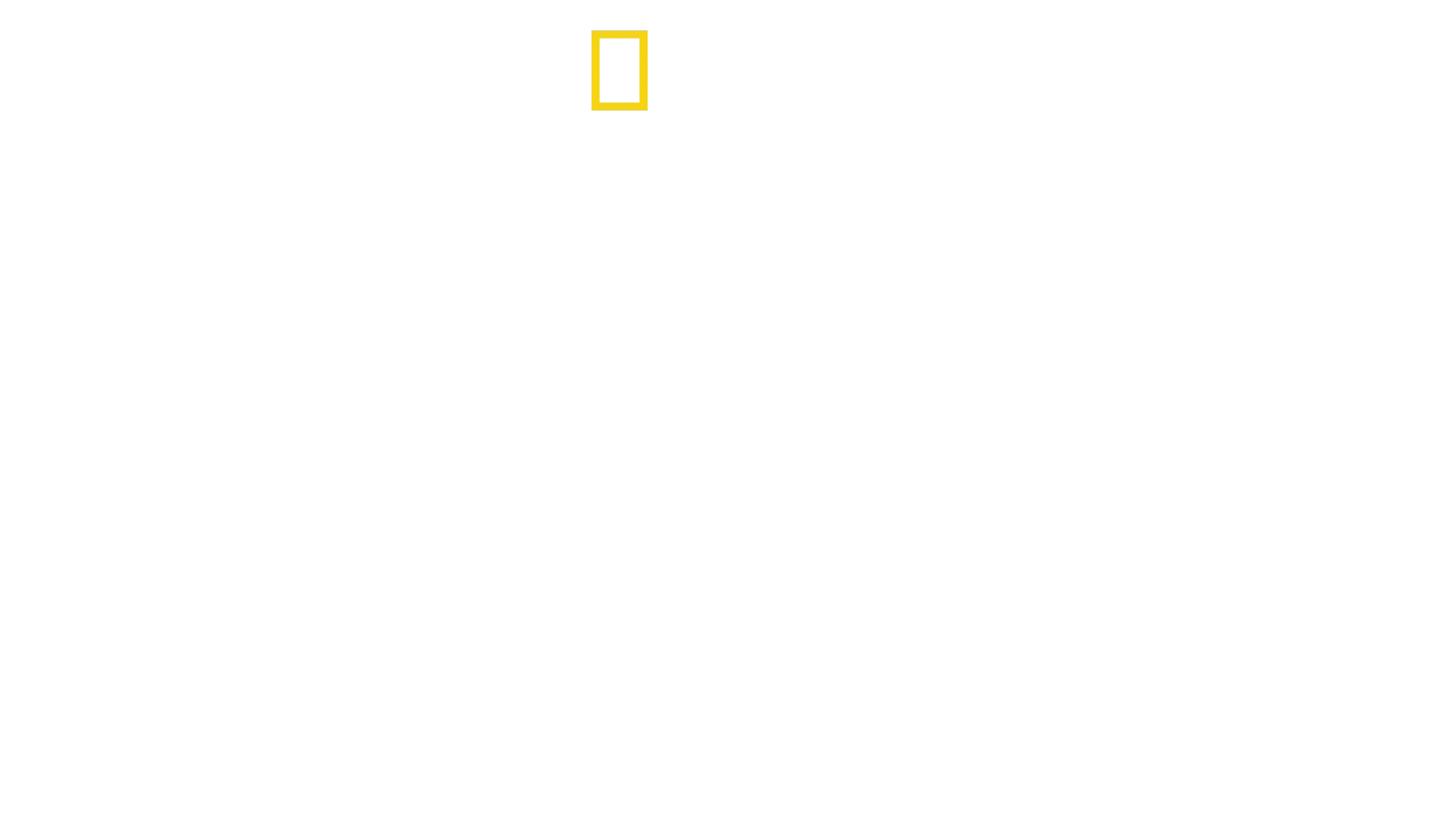 Expedition överlevnad: Andra världskriget
