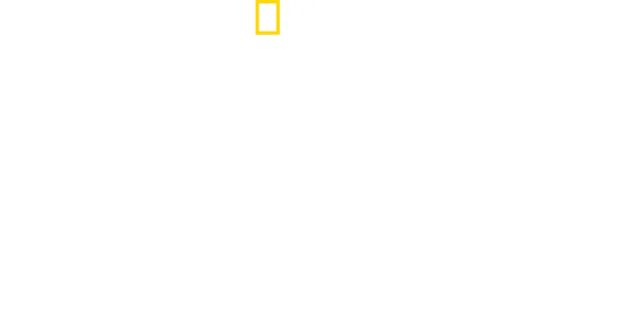 Expedition överlevnad: Andra världskriget