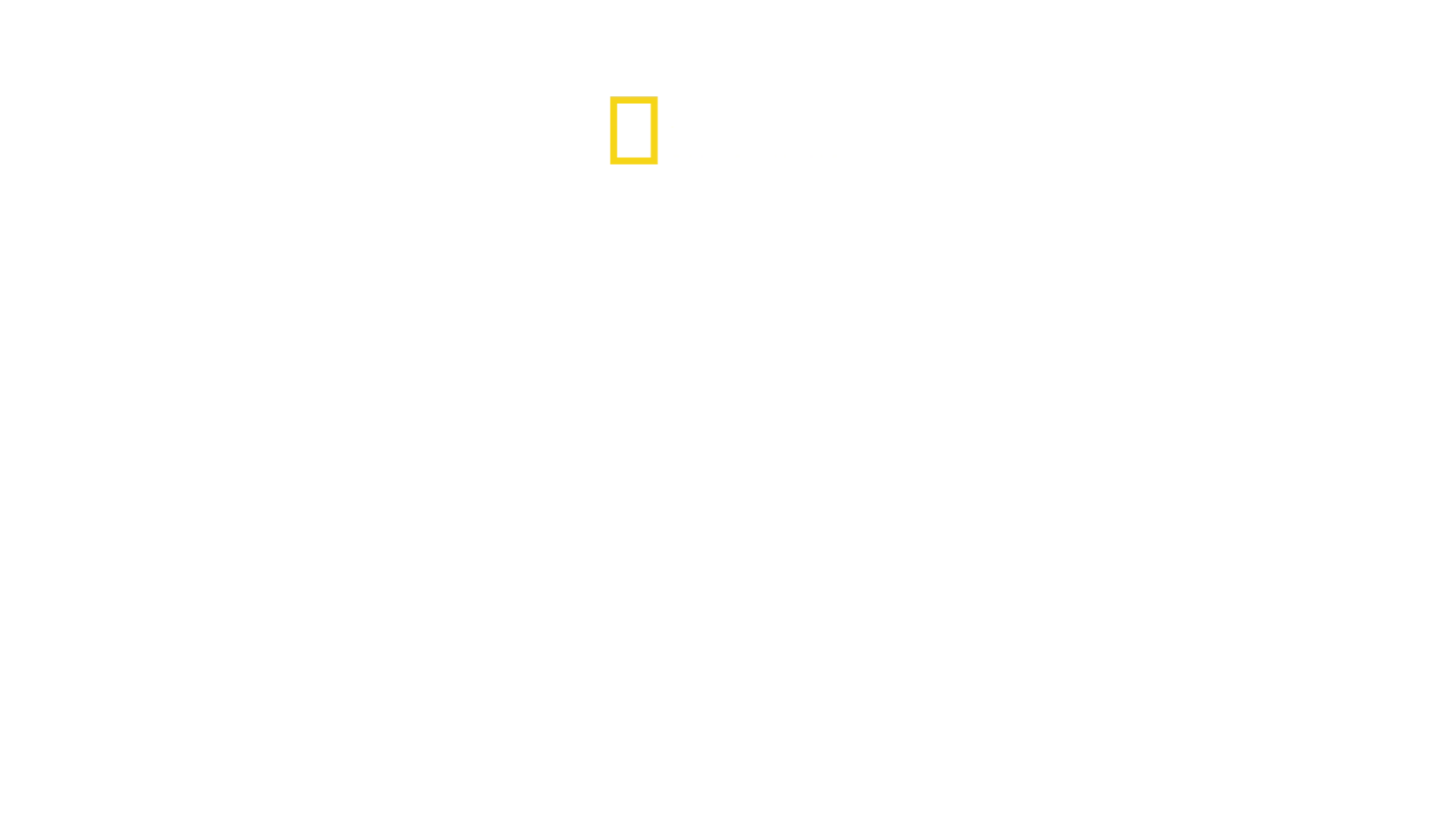 Maailman kuolettavimmat käärmeet