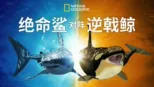 thumbnail - 绝命鲨对阵逆戟鲸
