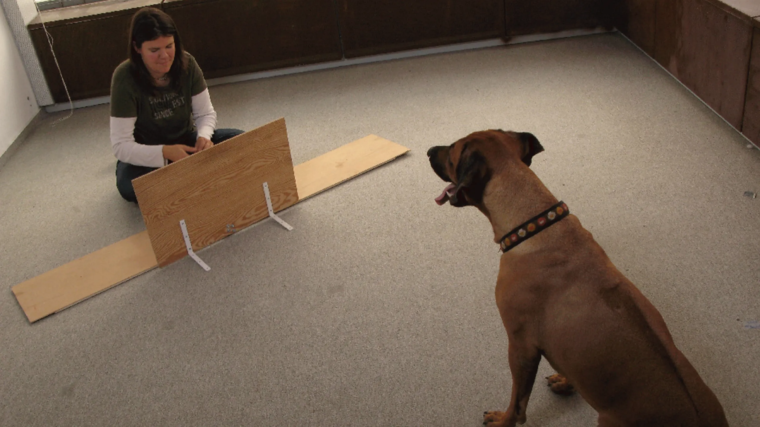 thumbnail - S1:E1 Dog Genius