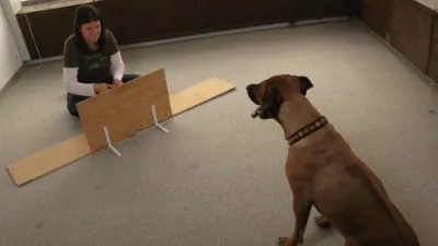 thumbnail - S1:E1 Dog Genius