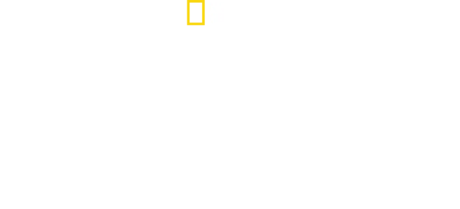 Bobi Wine: Präsident des Volkes