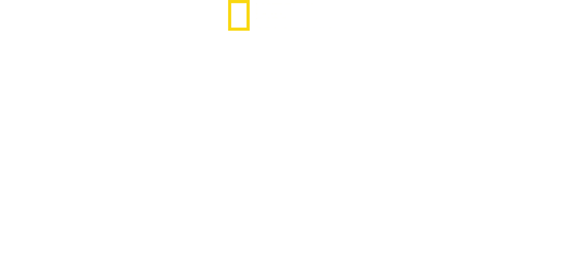 Bobi Wine: Präsident des Volkes