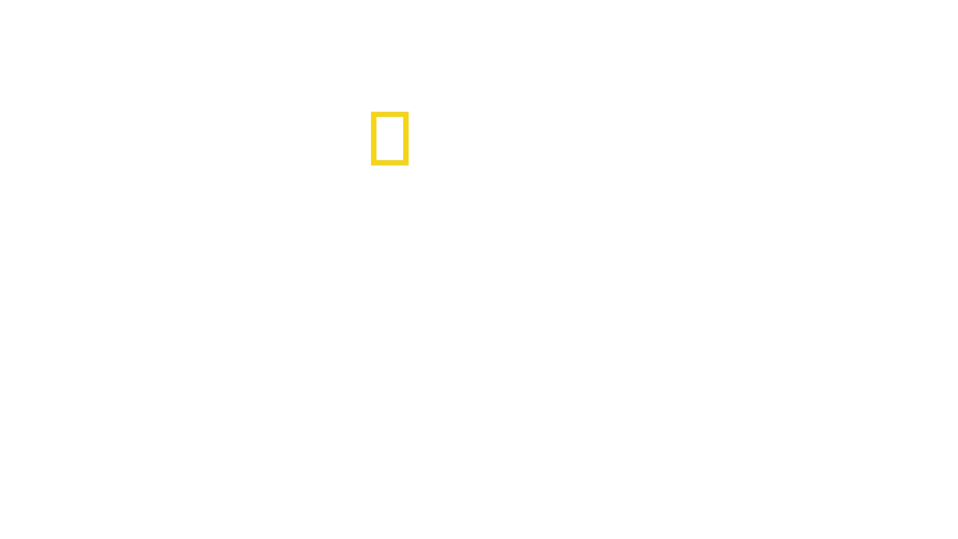 Secretele elefanților