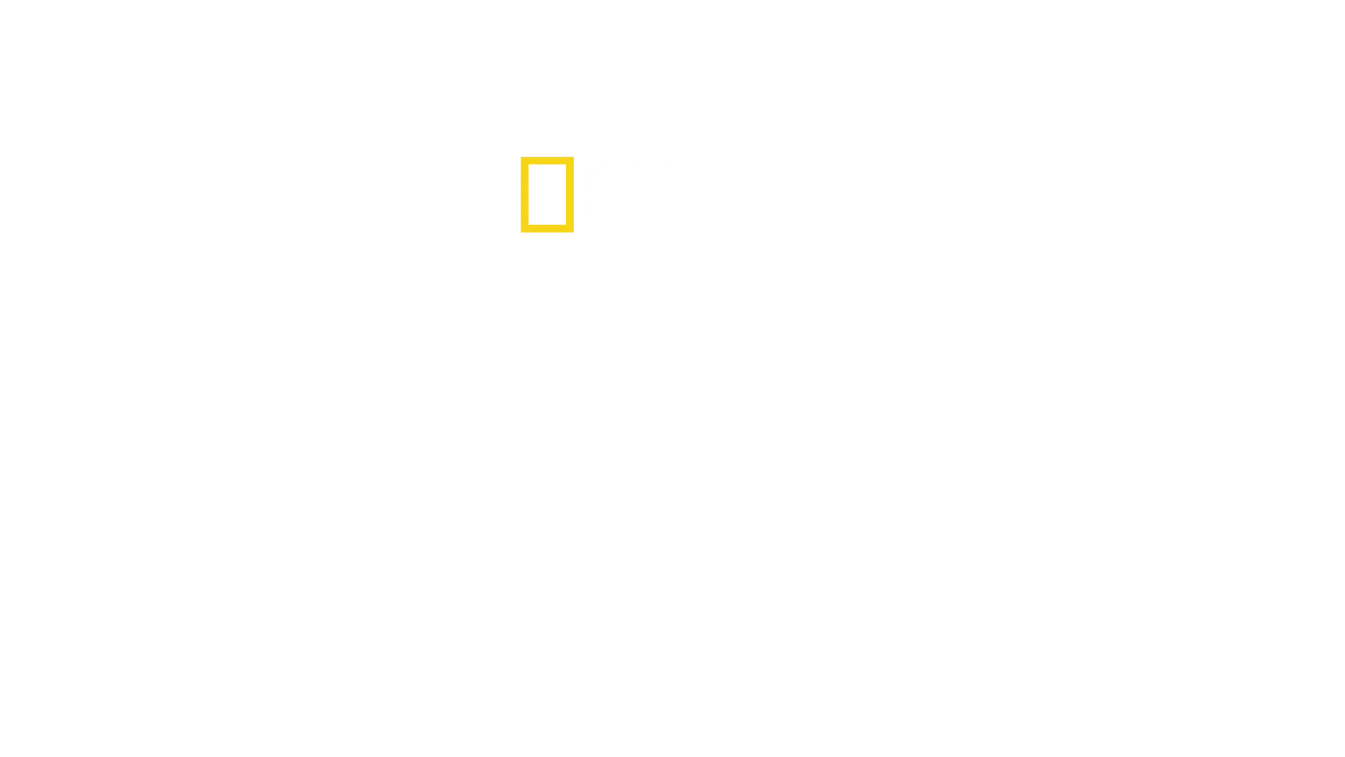 Secretele elefanților