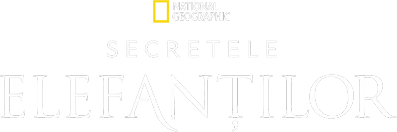 Secretele elefanților