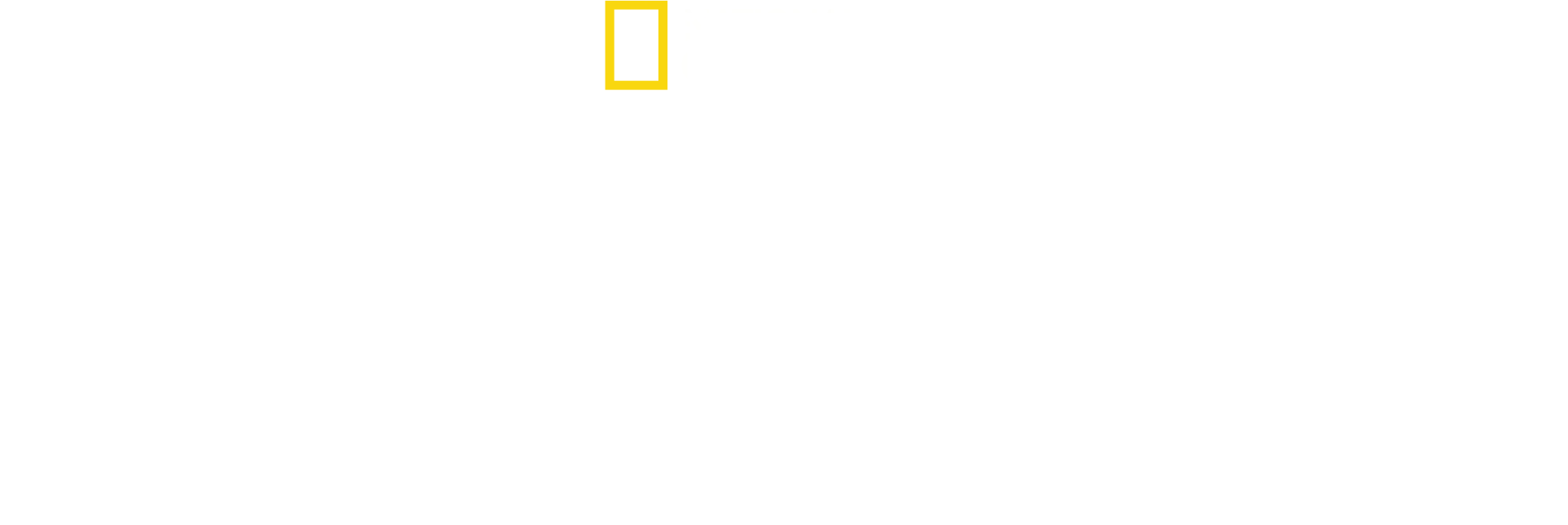 Secretele elefanților