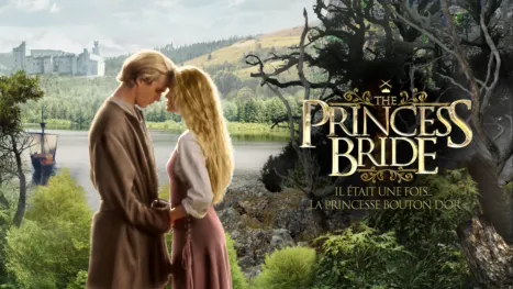thumbnail - Il était une fois... La princesse Bouton d'Or