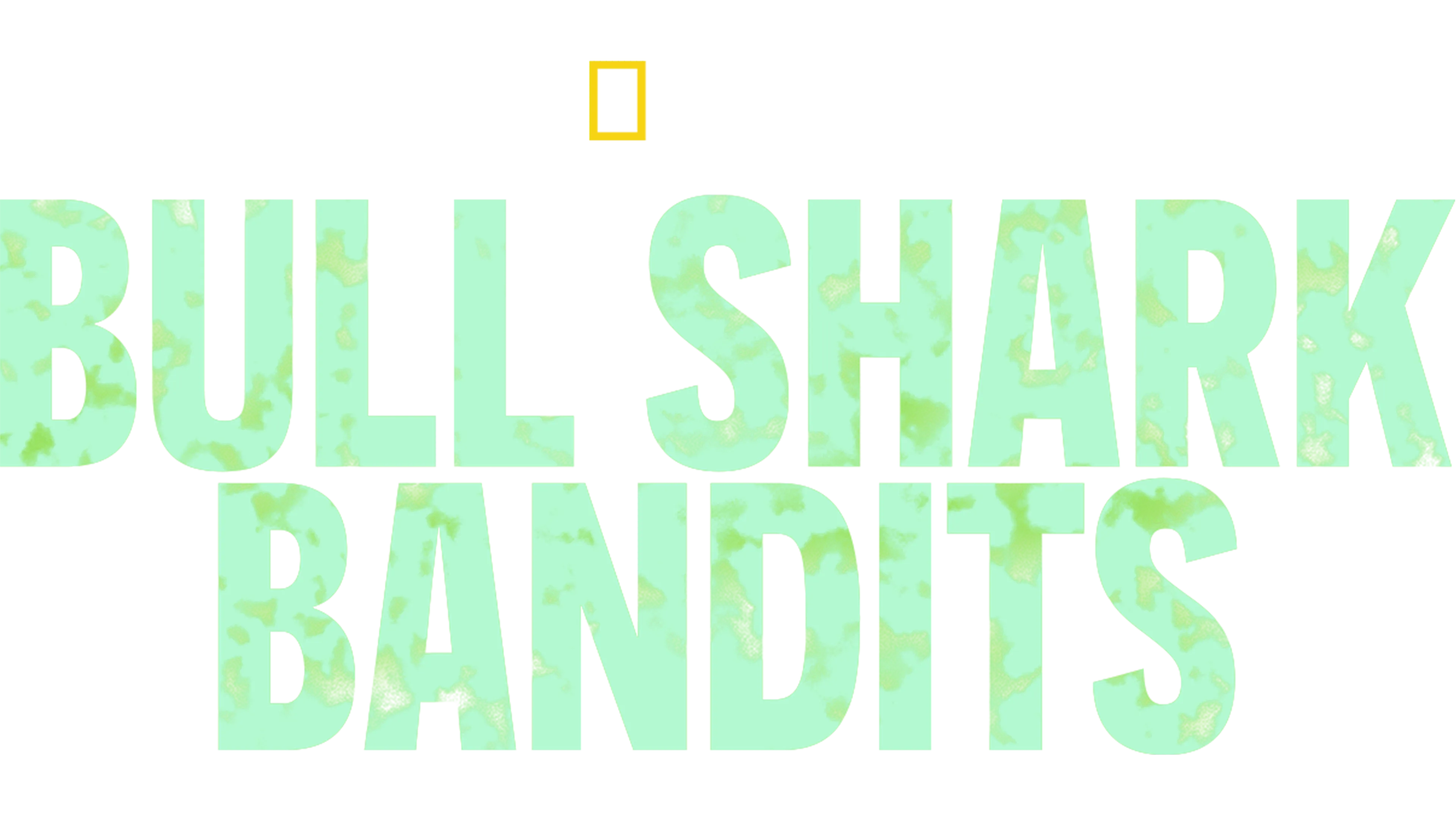Bull Shark Bandits