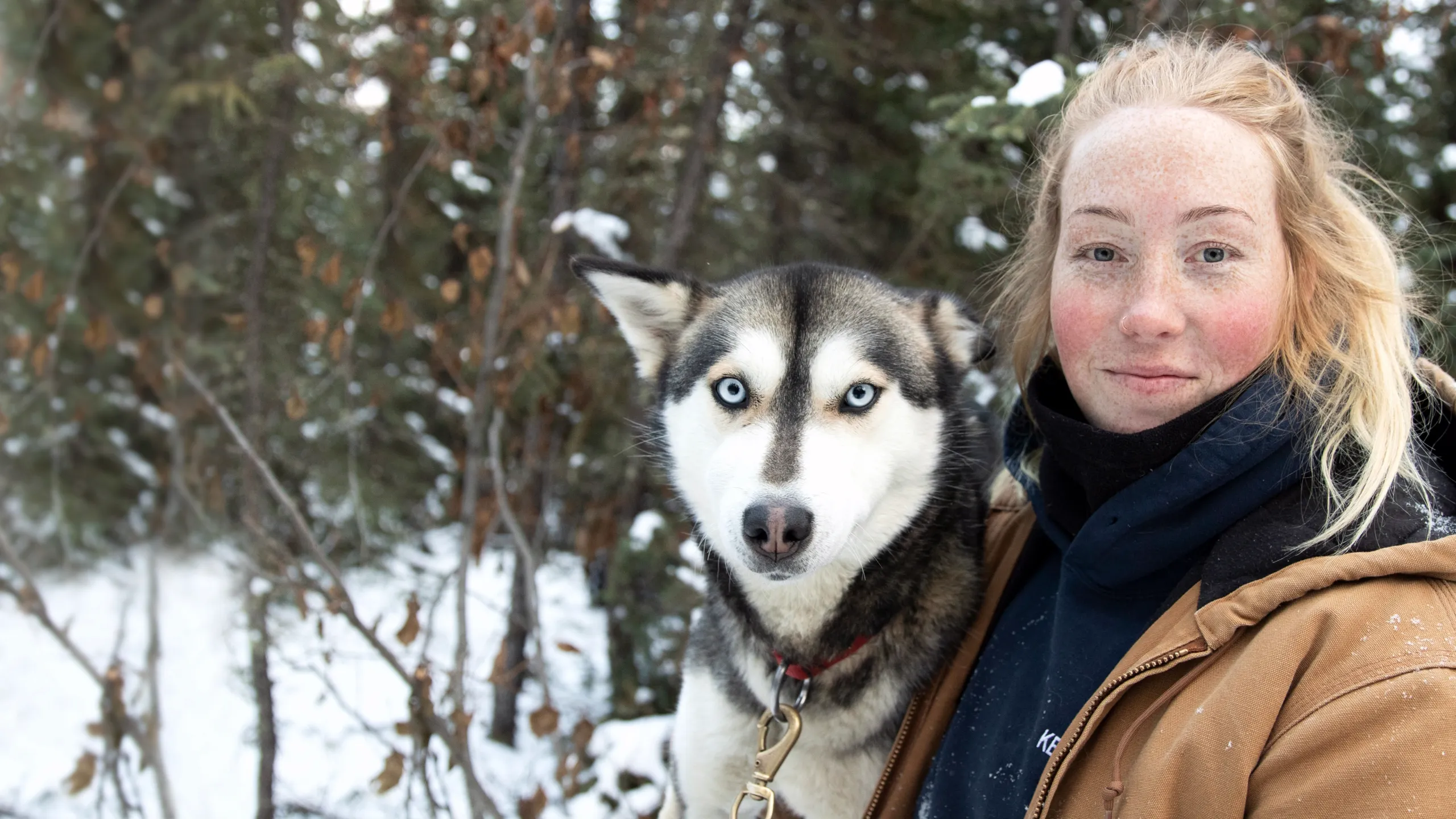 Life Below Zero: Northern Territories