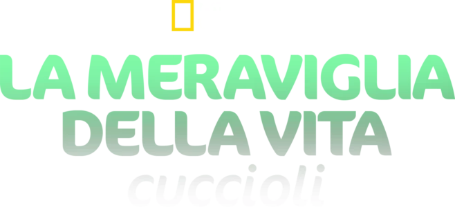 La meraviglia della vita: Cuccioli