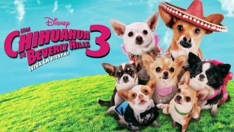 thumbnail - Una chihuahua de Beverly Hills 3: ¡Viva la fiesta!