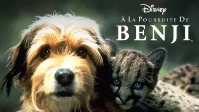 À la poursuite de Benji