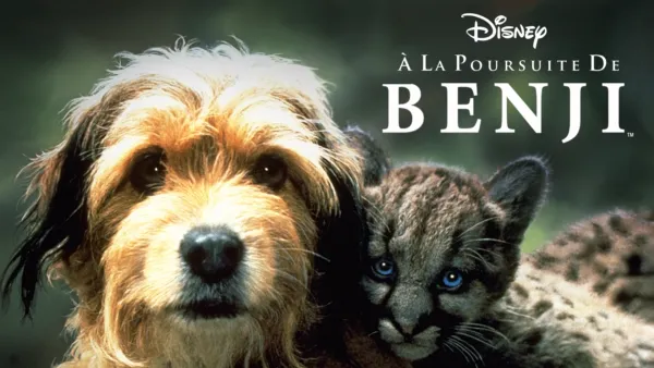 thumbnail - À la poursuite de Benji