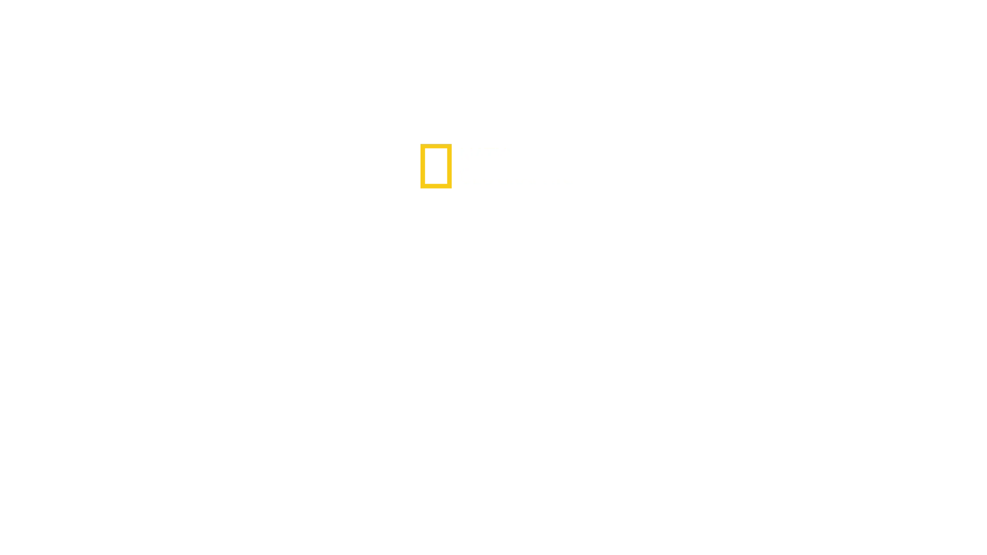 Pillantás