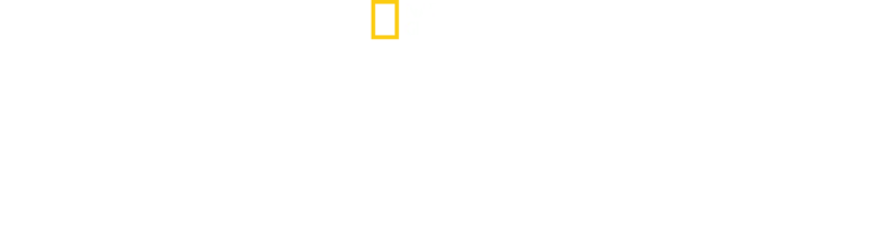 Pillantás