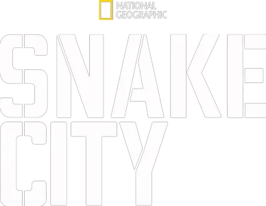 Snake City