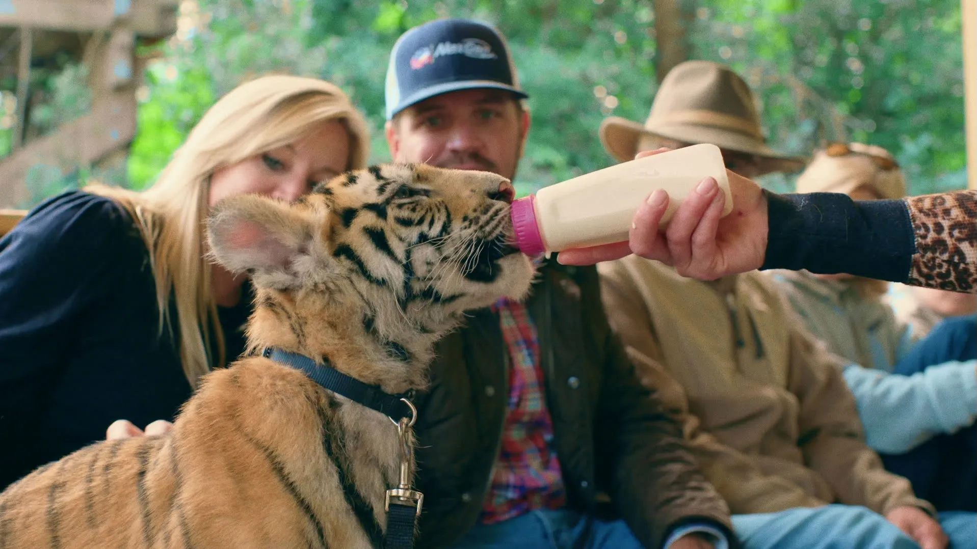 thumbnail - S1:E7 Tigers