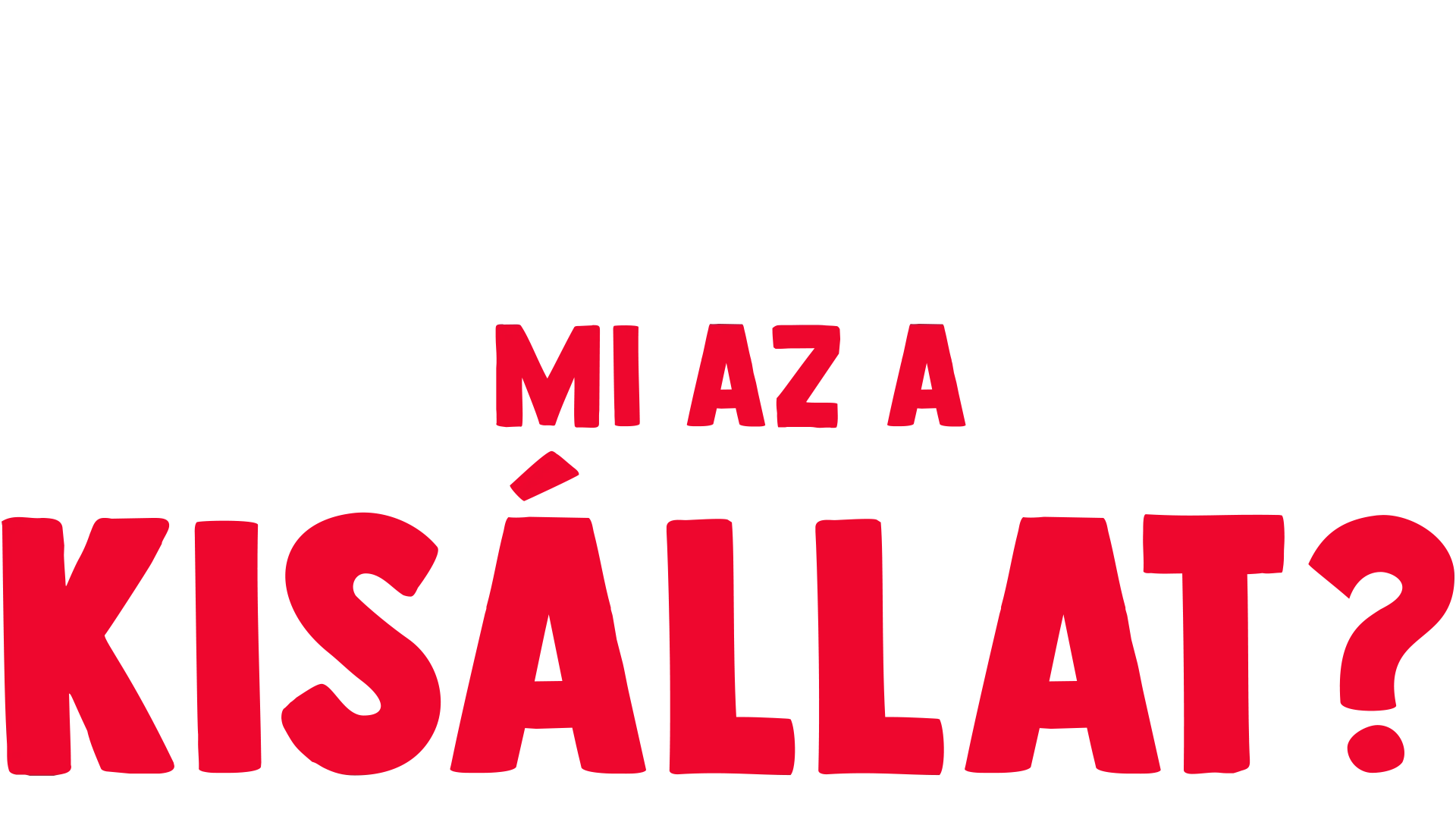 Villi villámkérdései: Mi az a kisállat?