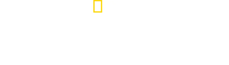 遠征聖母峰