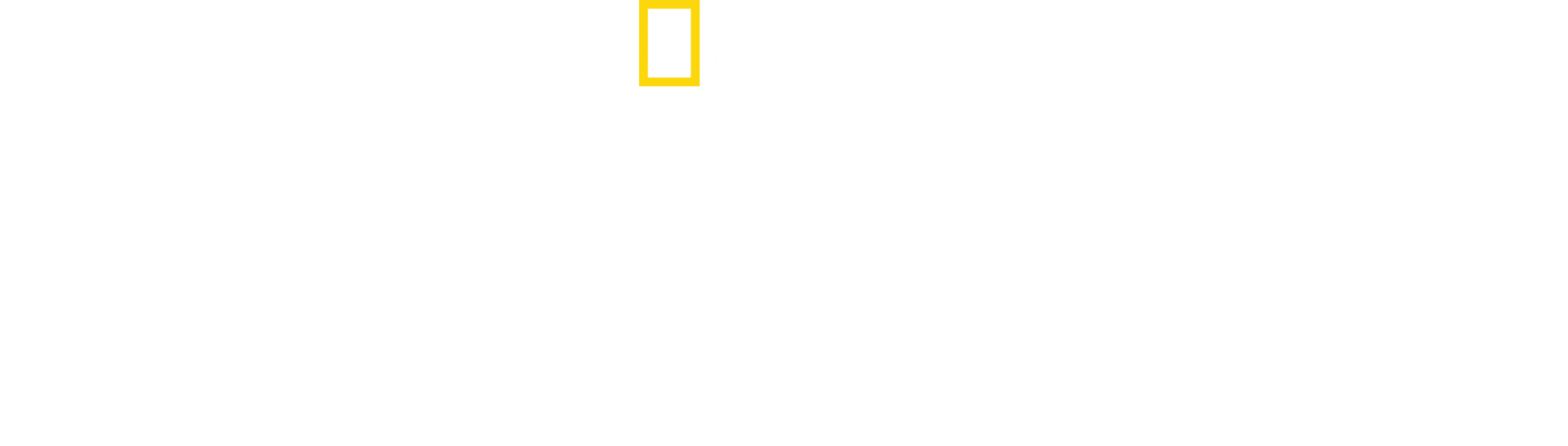 遠征聖母峰