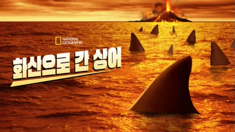 thumbnail - 화산으로 간 상어