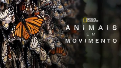 Animais em Movimento