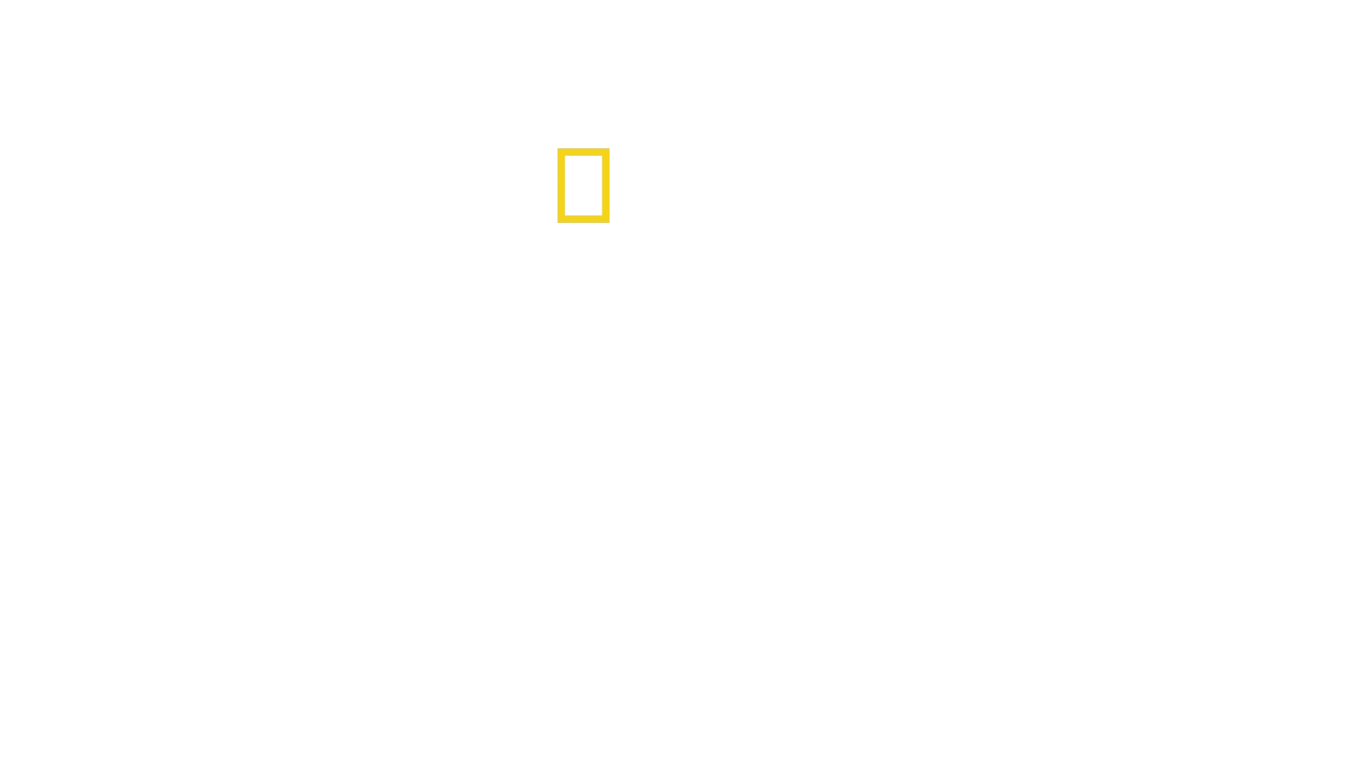 Arctic Ascent with Alex Honnold
