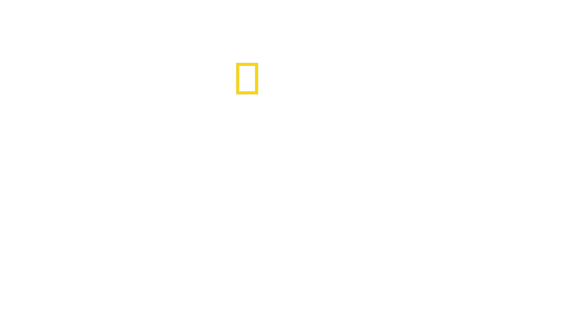 Arctic Ascent with Alex Honnold