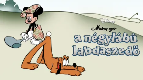 thumbnail - A négylábú labdaszedő