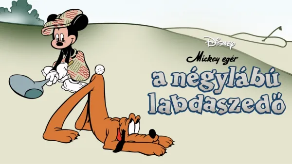 thumbnail - A négylábú labdaszedő