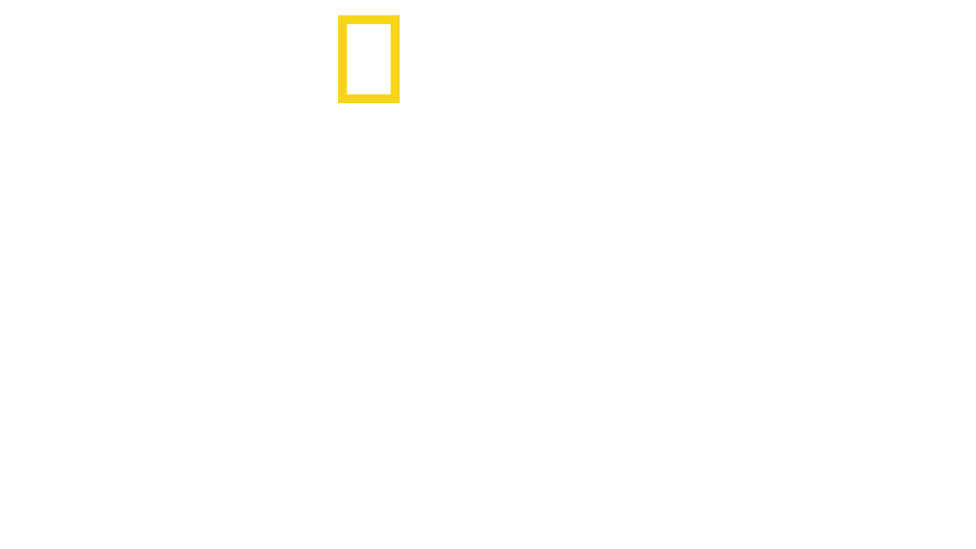 Black Market