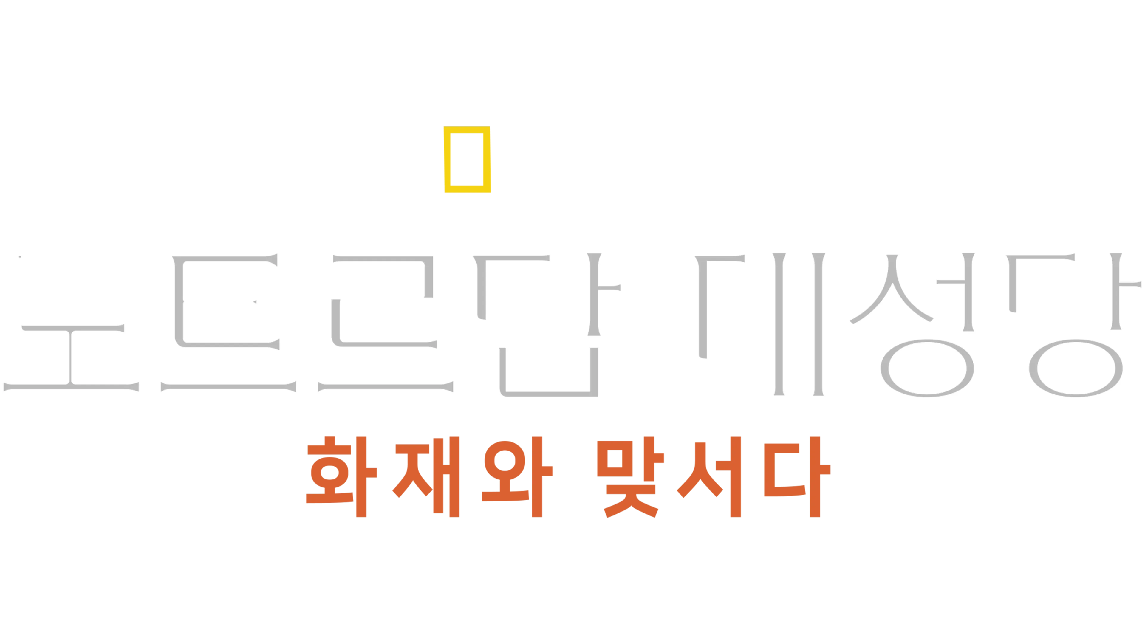 노트르담 대성당: 화재와 맞서다
