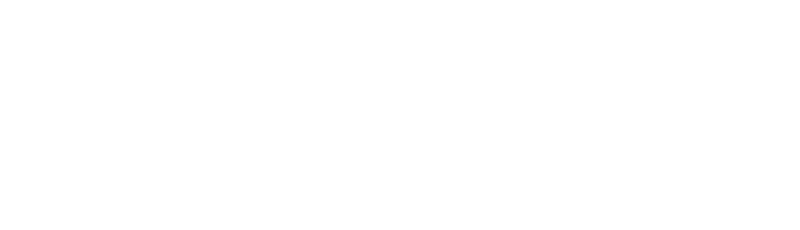 Borussia Dortmund vs. Vfl Wolfsburg