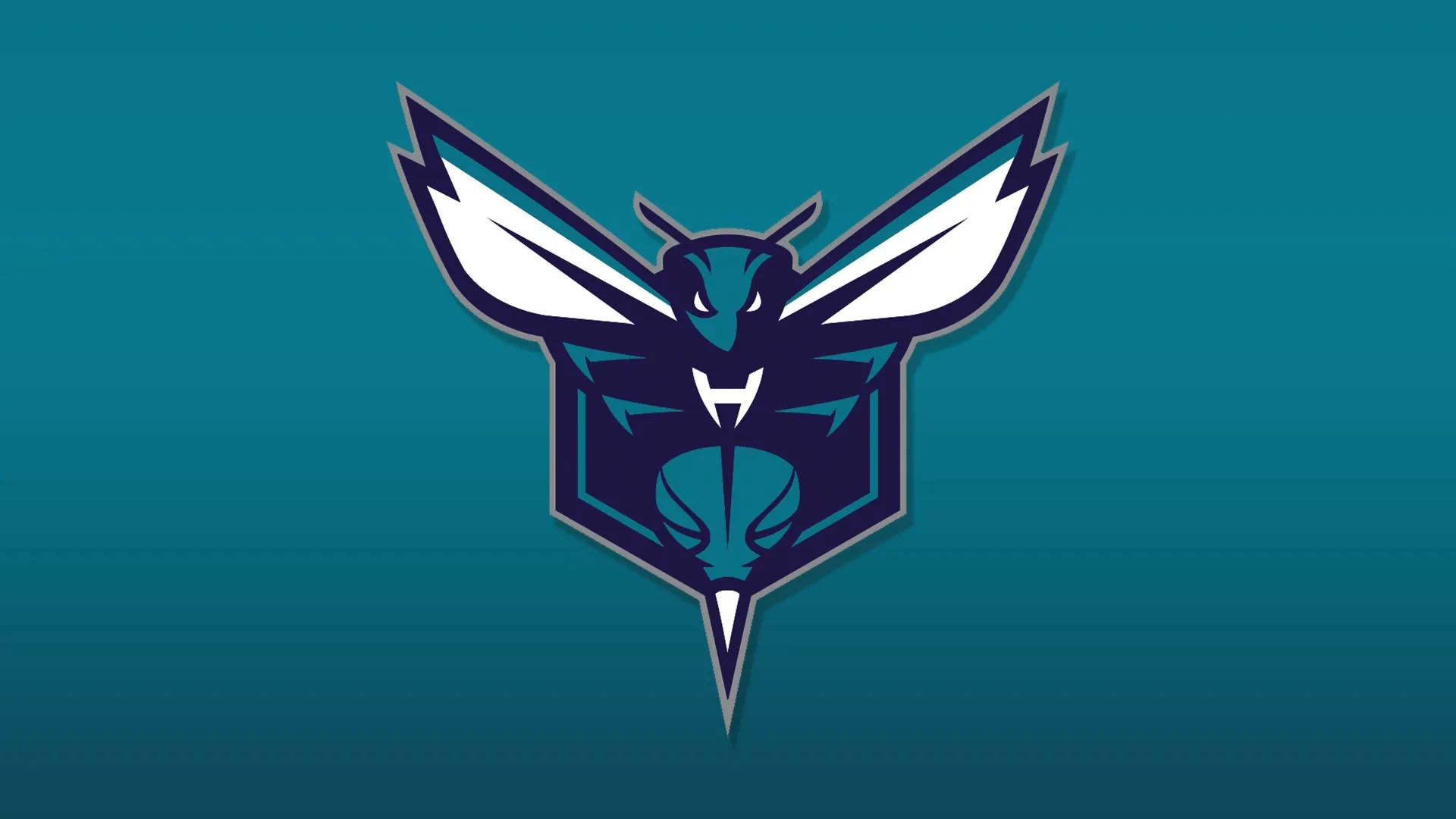 Charlotte Hornets