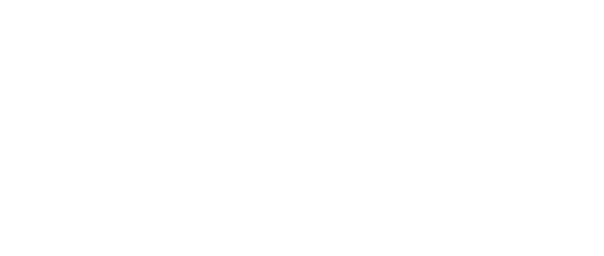Kommissarin Heller - Schattenriss