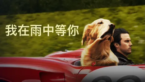 thumbnail - 我在雨中等你