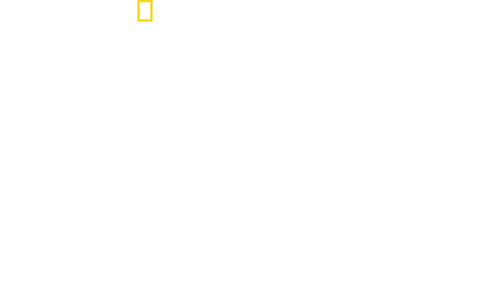 Hitlerin viimeinen taistelu