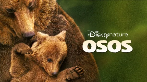 thumbnail - Osos