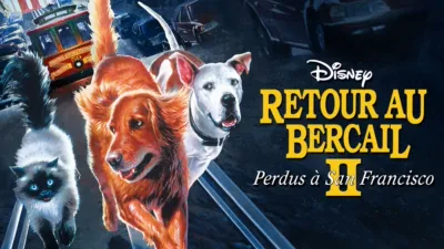 thumbnail - Retour au bercail II : Perdus à San Francisco