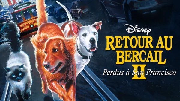 thumbnail - Retour au bercail II : Perdus à San Francisco