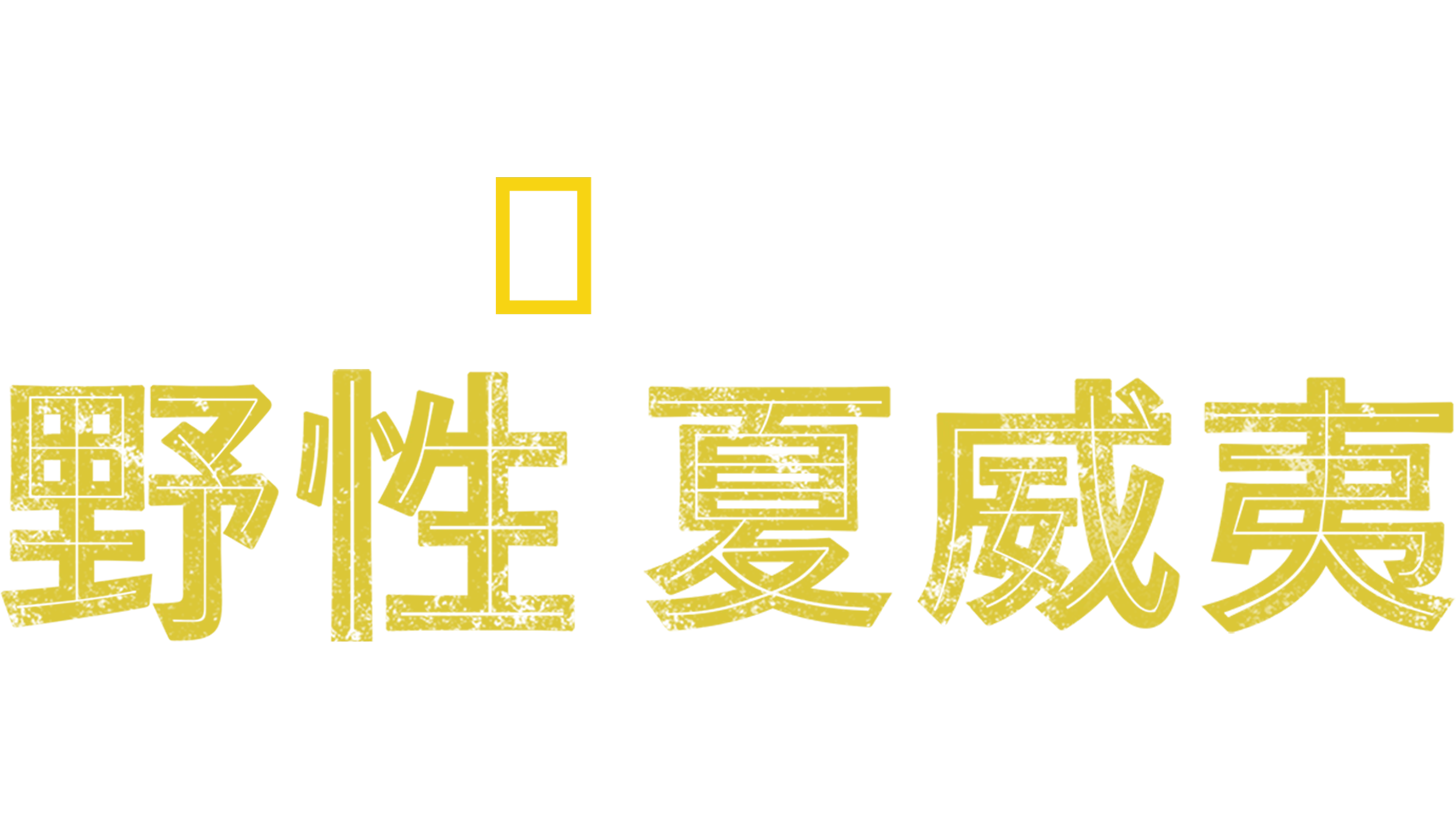 野性夏威夷