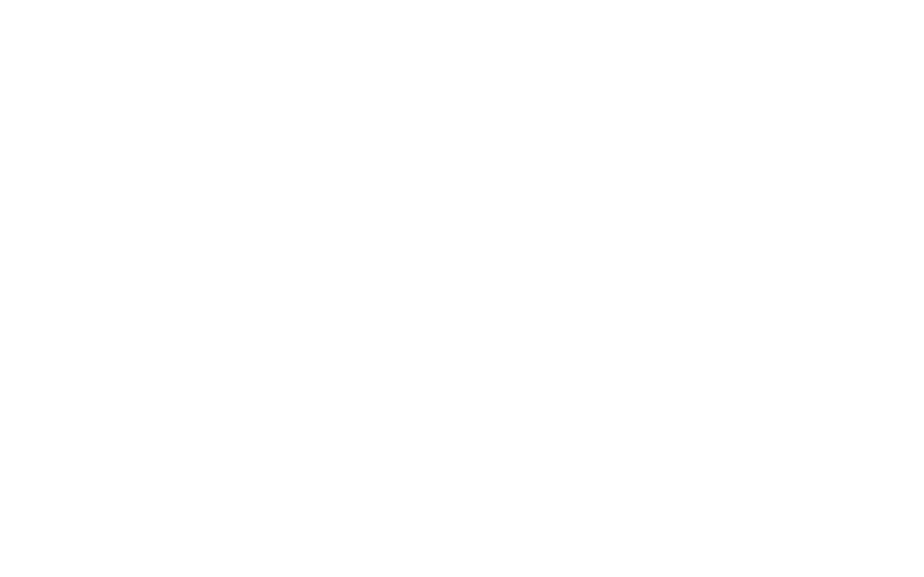 Sister Wives